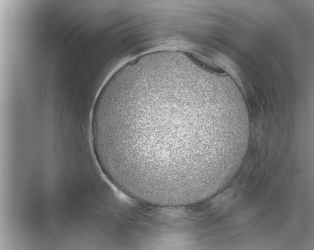 X0000073841103200608311928