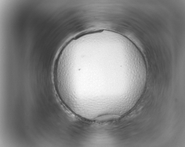 X0000073841104200608311928