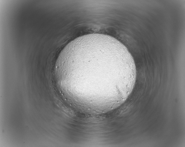 X0000073841105200608311927