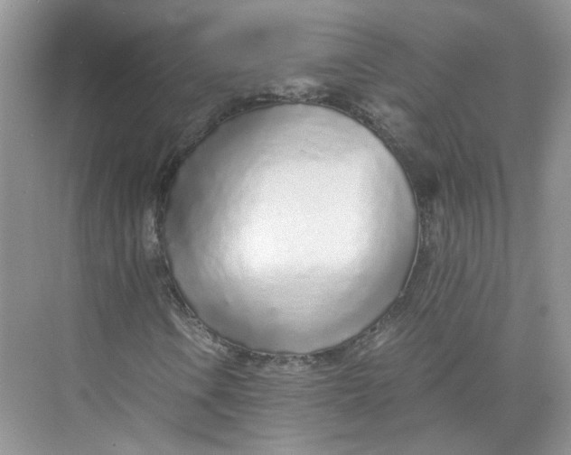 X0000073841106200608311927