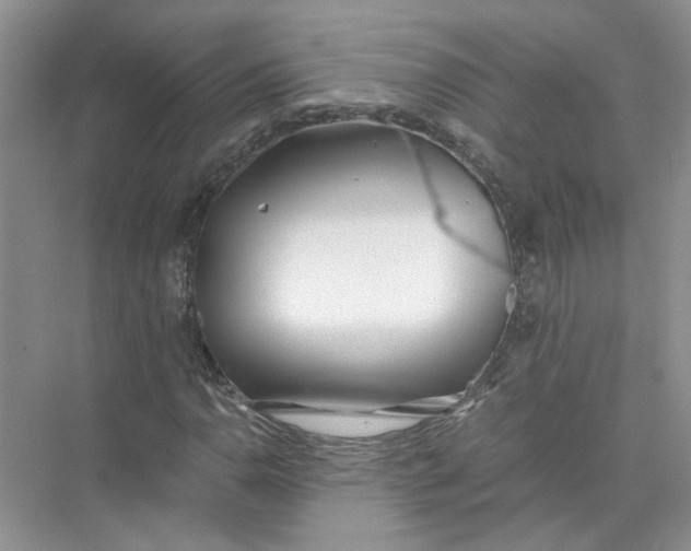 X0000073841110200608311927