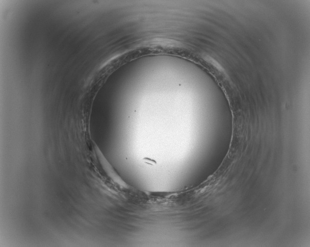 X0000073841112200608311927