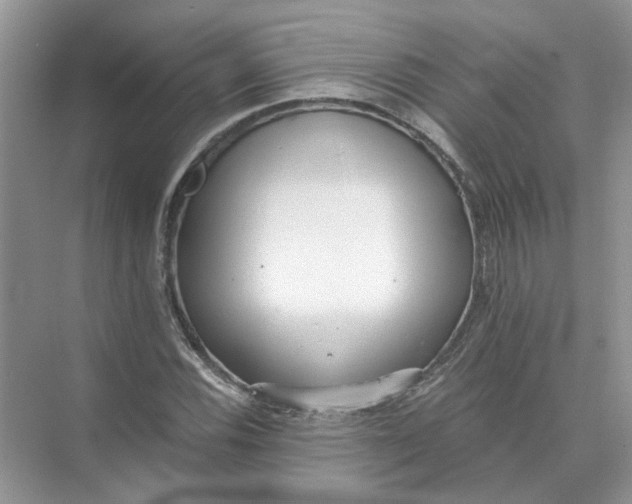 X0000073841116200608311927