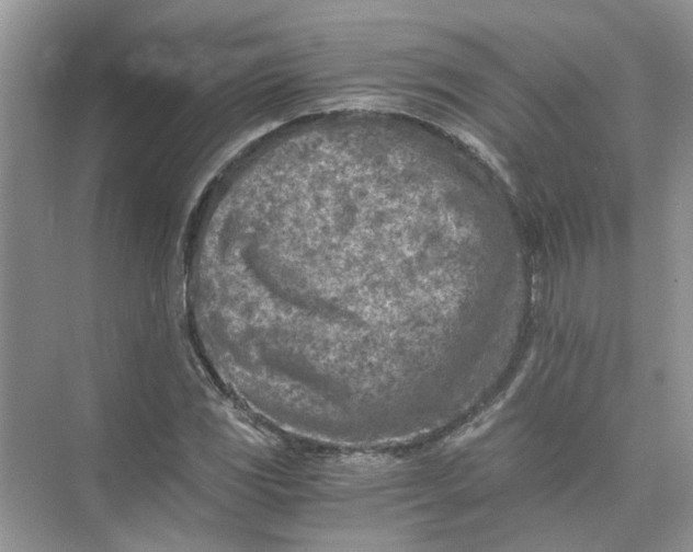 X0000073841117200608311927