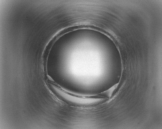 X0000073841118200608311927