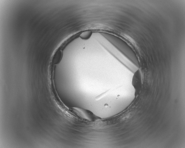 X0000073841120200608311927