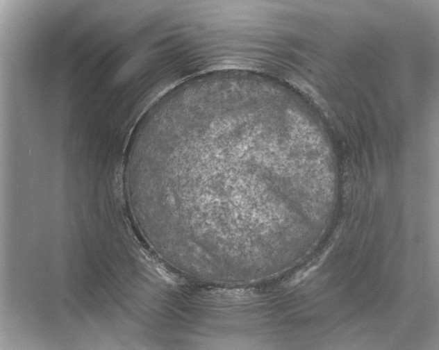 X0000073841121200608311927