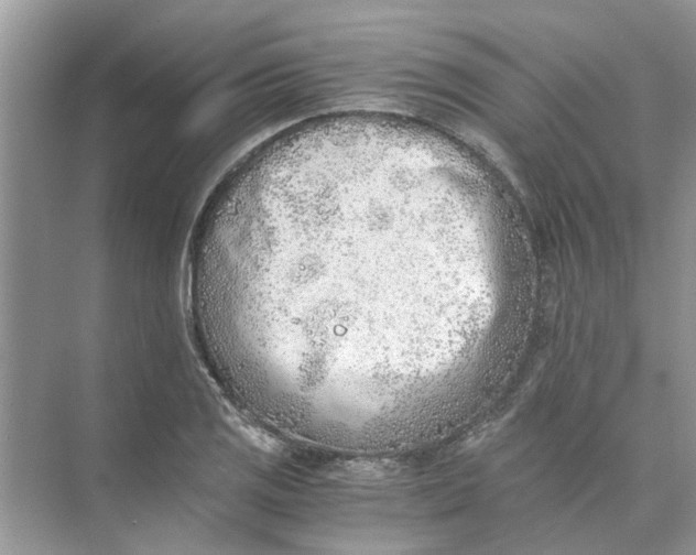 X0000073841125200608311927