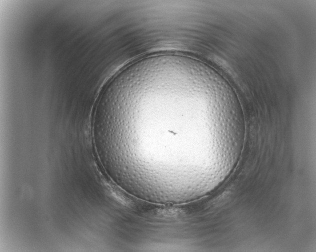 X0000073841129200608311928