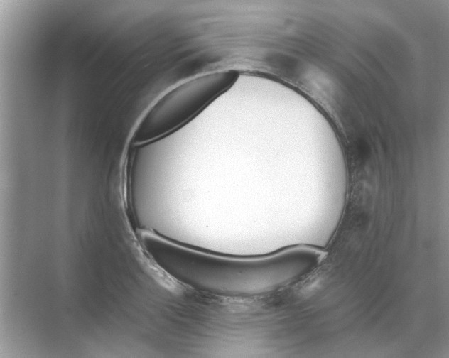 X0000073841132200608311928