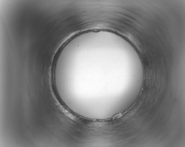 X0000073841134200608311928