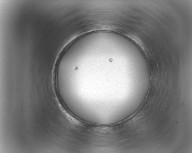 X0000073841135200608311928