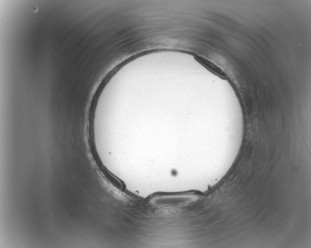 X0000073841136200608311928