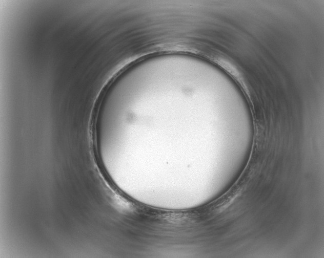 X0000073841141200608311928