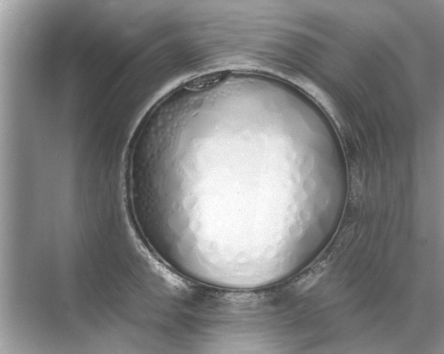 X0000073841142200608311928