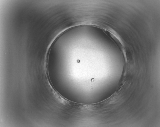 X0000073841148200608311928