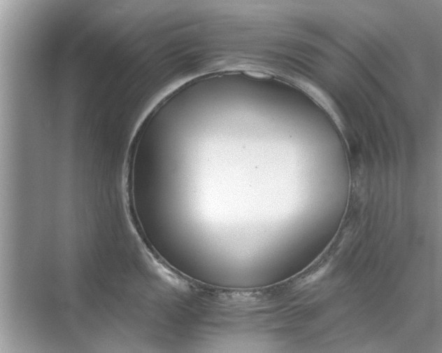 X0000073841149200608311928