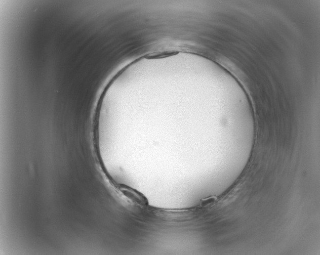 X0000073841152200608311928