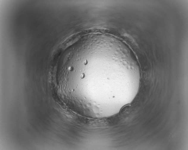 X0000073841159200608311927