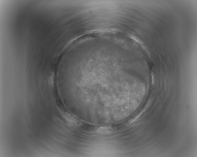 X0000073841161200608311927