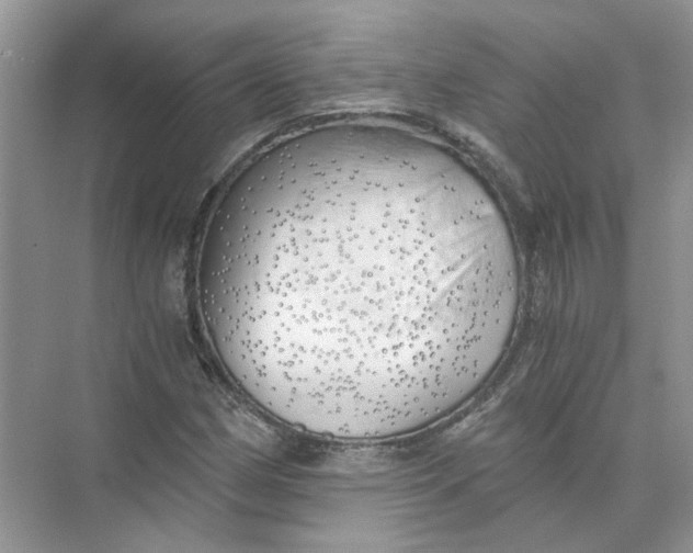 X0000073841162200608311927