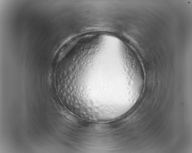 X0000073841163200608311927