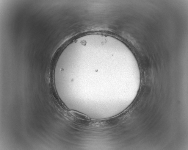 X0000073841165200608311927