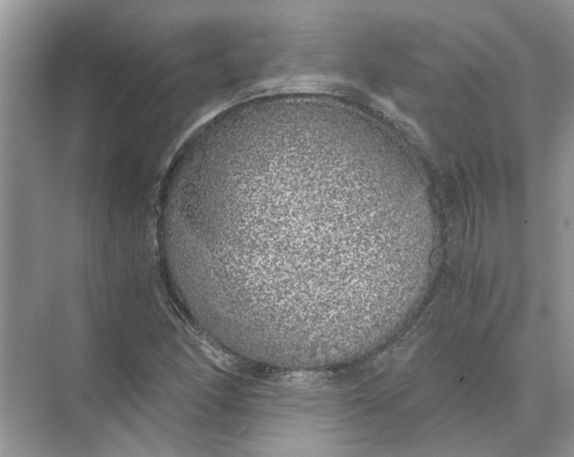 X0000073841166200608311927