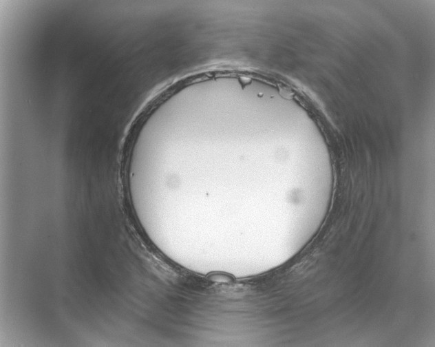 X0000073841168200608311927