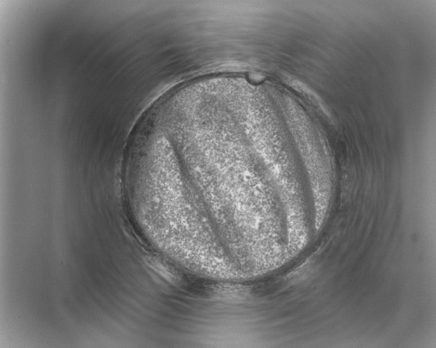 X0000073841170200608311927