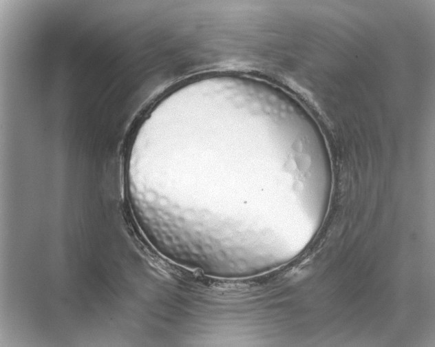 X0000073841171200608311927