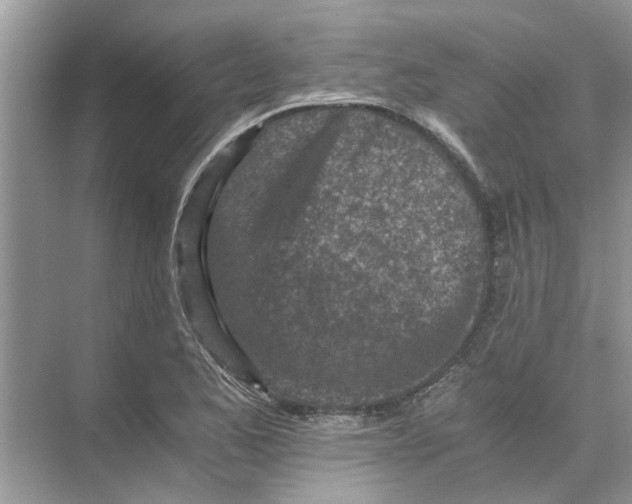 X0000073841173200608311927