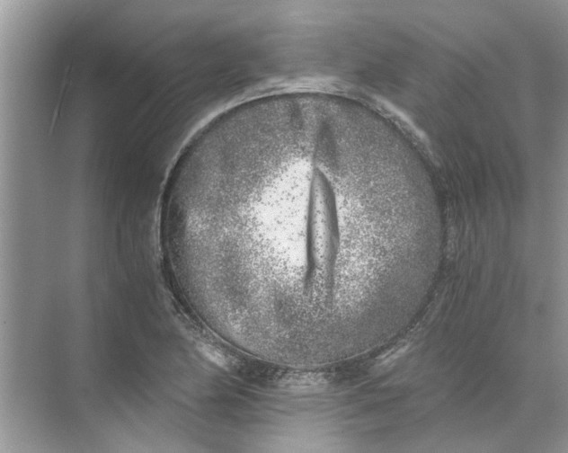 X0000073841174200608311927