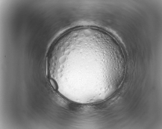 X0000073841175200608311927