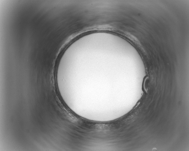 X0000073841176200608311927