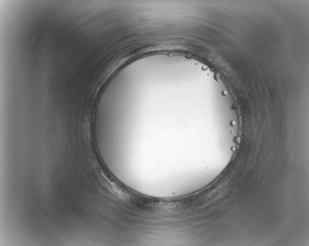 X0000073841177200608311927