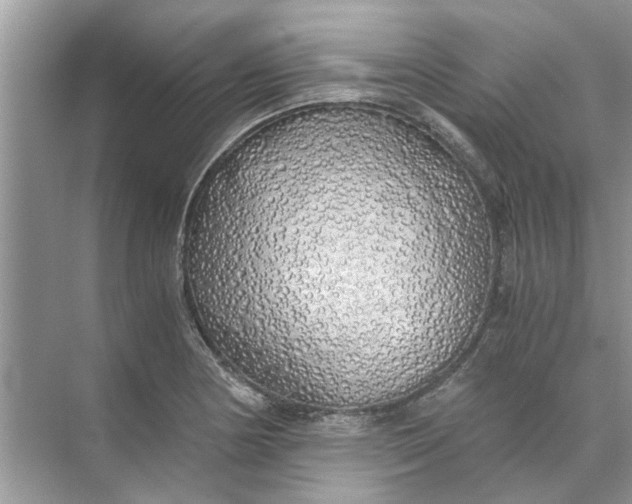 X0000073841178200608311927