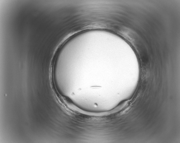 X0000073841179200608311927