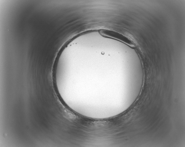 X0000073841181200608311927