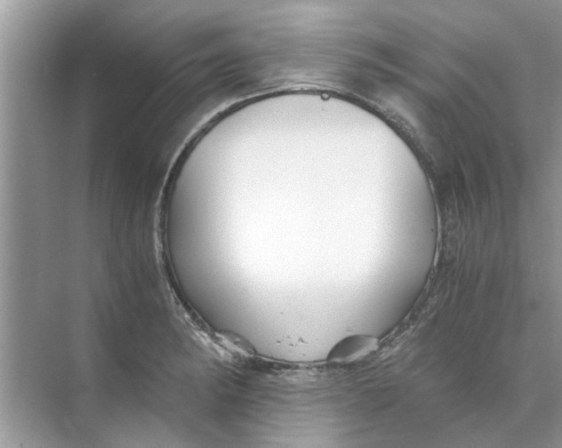 X0000073841182200608311927