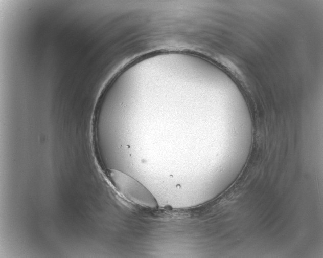 X0000073841183200608311927