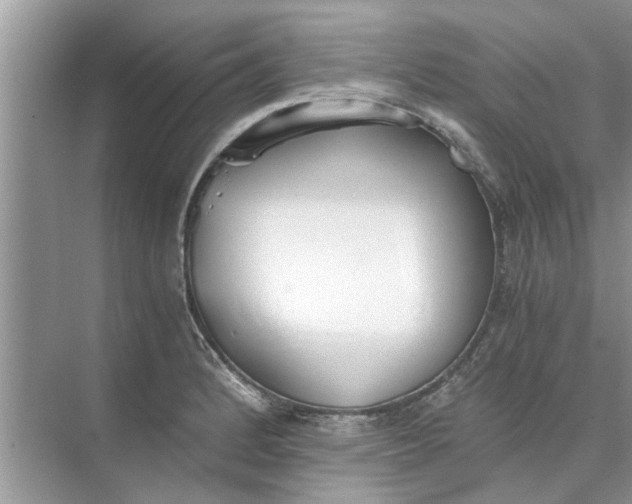 X0000073841184200608311927