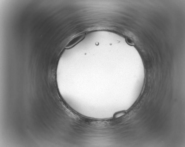 X0000073841185200608311927