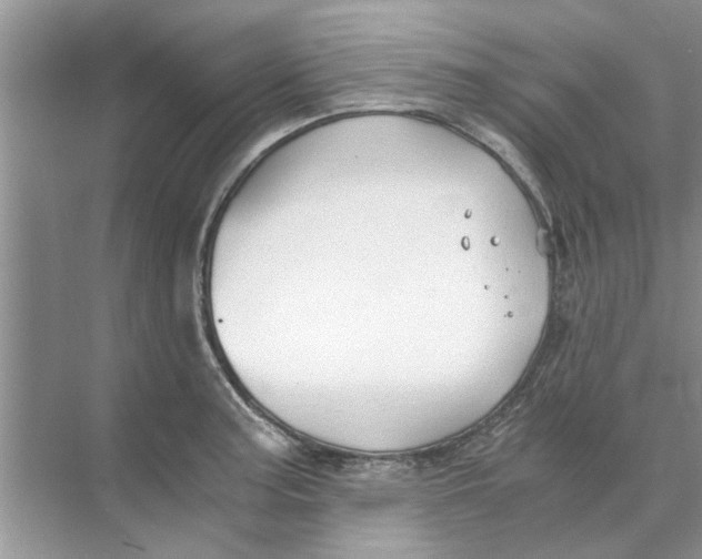 X0000073841187200608311927