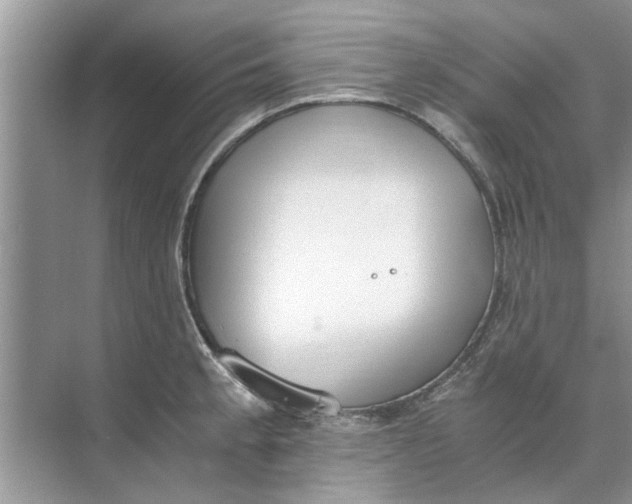 X0000073841189200608311927