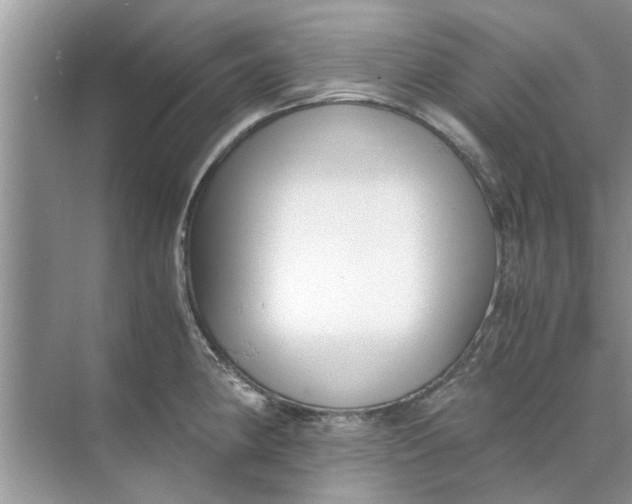 X0000073841190200608311927