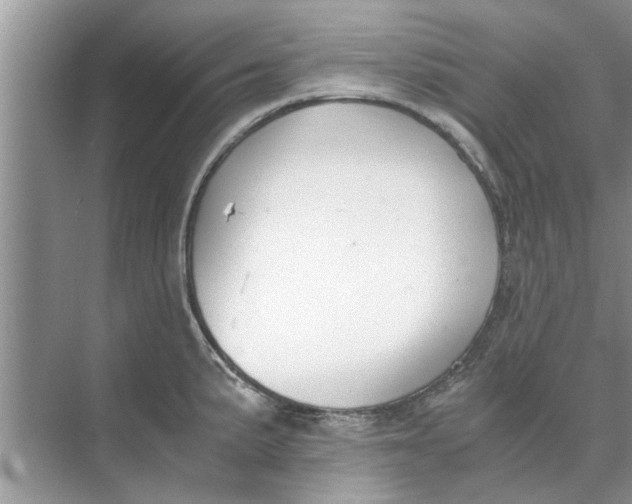 X0000073841191200608311926