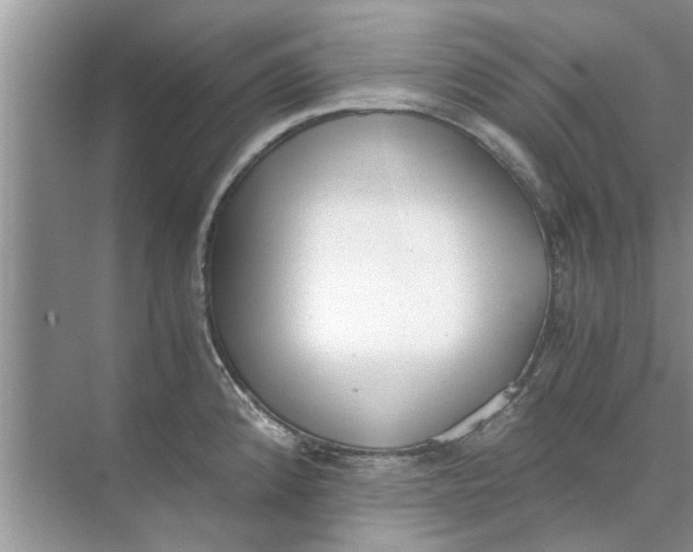 X0000073841192200608311926