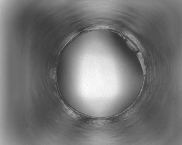 X0000073841193200608311926