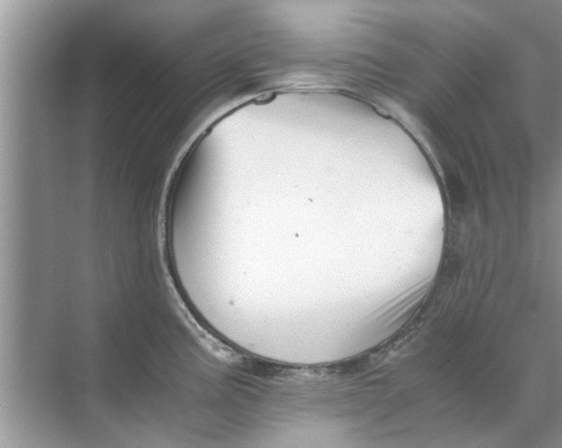 X0000073841195200608311926